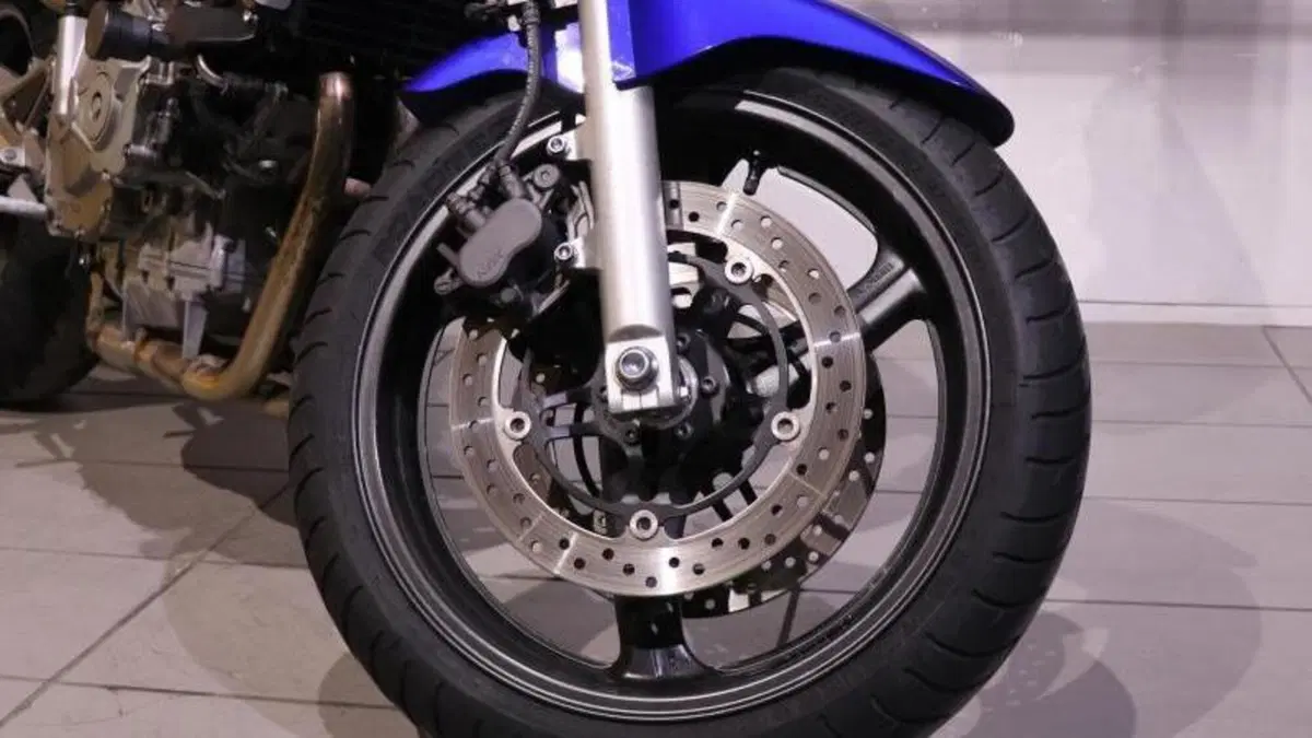 Honda Hornet 600 (2000 - 02)  (9)