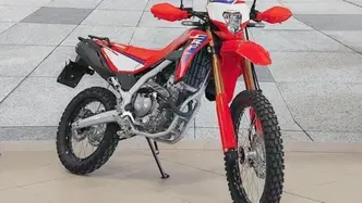 Honda CRF 300L (2025 - 26) usata