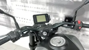 Benelli Leoncino 250 (2021 - 25)  (6)