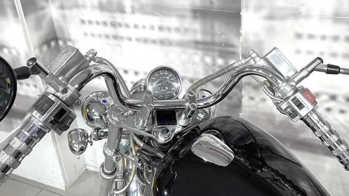 Suzuki VS 800 GL (1992 - 98)  (6)