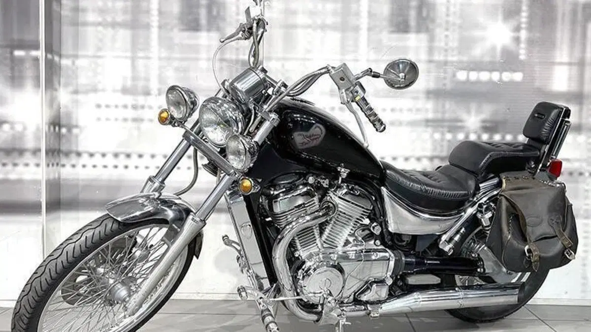 Suzuki VS 800 GL (1992 - 98)  (7)