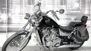 Suzuki VS 800 GL (1992 - 98)  (7)