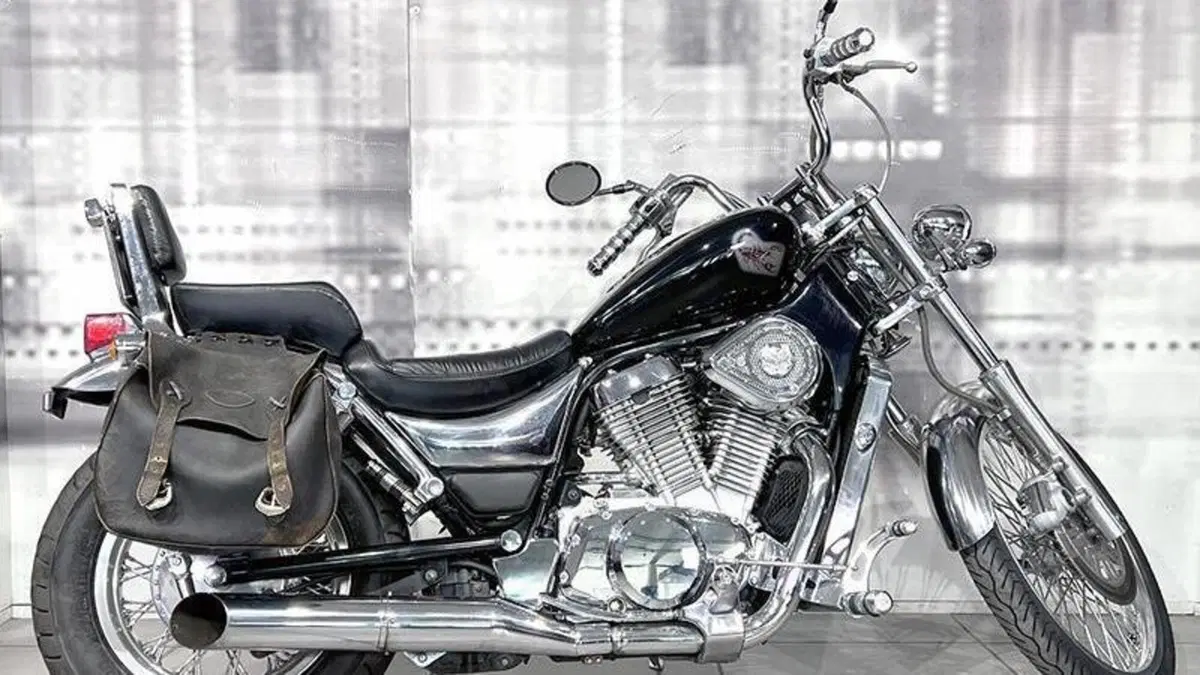 Suzuki VS 800 GL (1992 - 98)  (8)