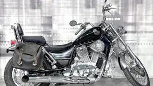 Suzuki VS 800 GL (1992 - 98)  (8)