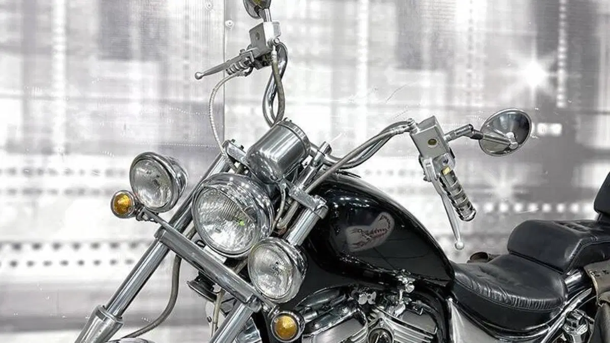 Suzuki VS 800 GL (1992 - 98)  (9)