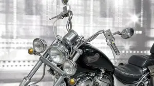 Suzuki VS 800 GL (1992 - 98)  (9)