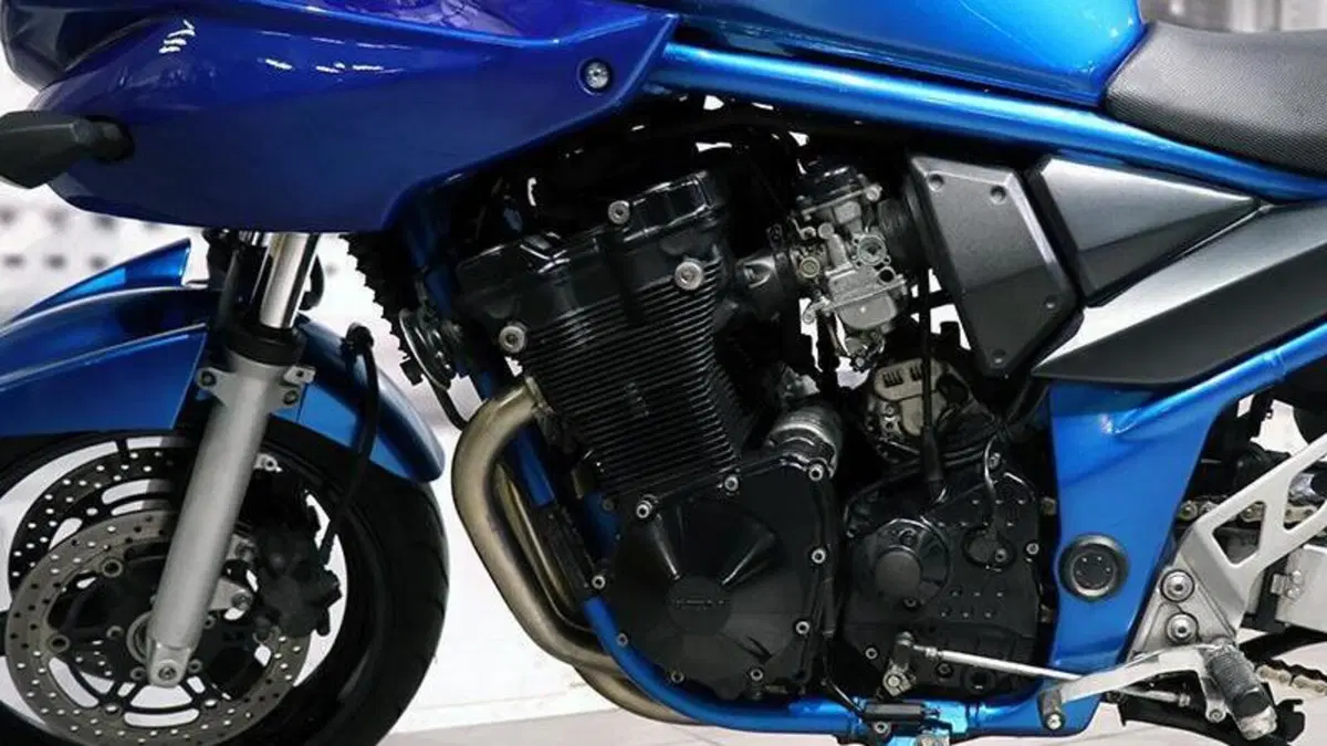 Suzuki GSF 650 Bandit (2005 - 06)  (8)