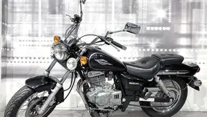 Suzuki Marauder GZ 250  (7)