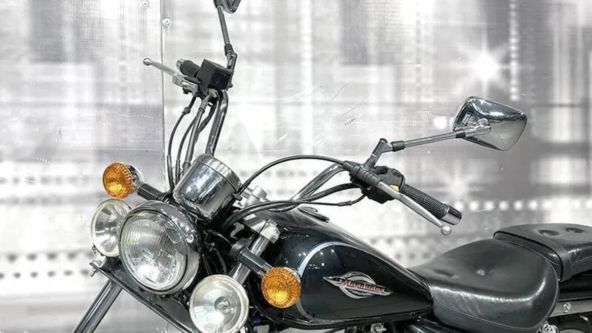 Suzuki Marauder GZ 250  (9)