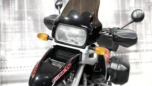 Bmw R 1100 GS  (9)