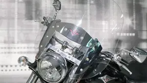 Kawasaki Vulcan VN 900 Classic (2006 - 10)  (8)