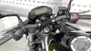 Kawasaki Z 250 SL ABS (2015 - 16)  (6)