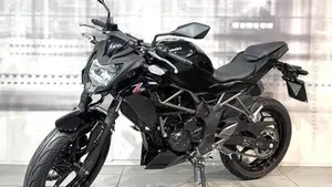 Kawasaki Z 250 SL ABS (2015 - 16)  (7)