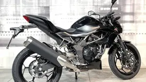 Kawasaki Z 250 SL ABS (2015 - 16)  (8)