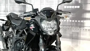 Kawasaki Z 250 SL ABS (2015 - 16)  (9)