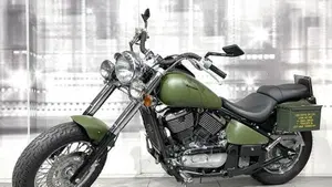 Kawasaki VN 800 Classic (2001 - 06)  (7)