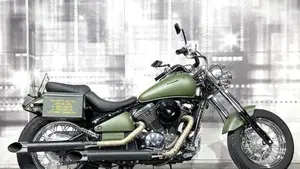 Kawasaki VN 800 Classic (2001 - 06)  (8)