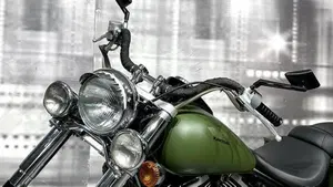 Kawasaki VN 800 Classic (2001 - 06)  (9)
