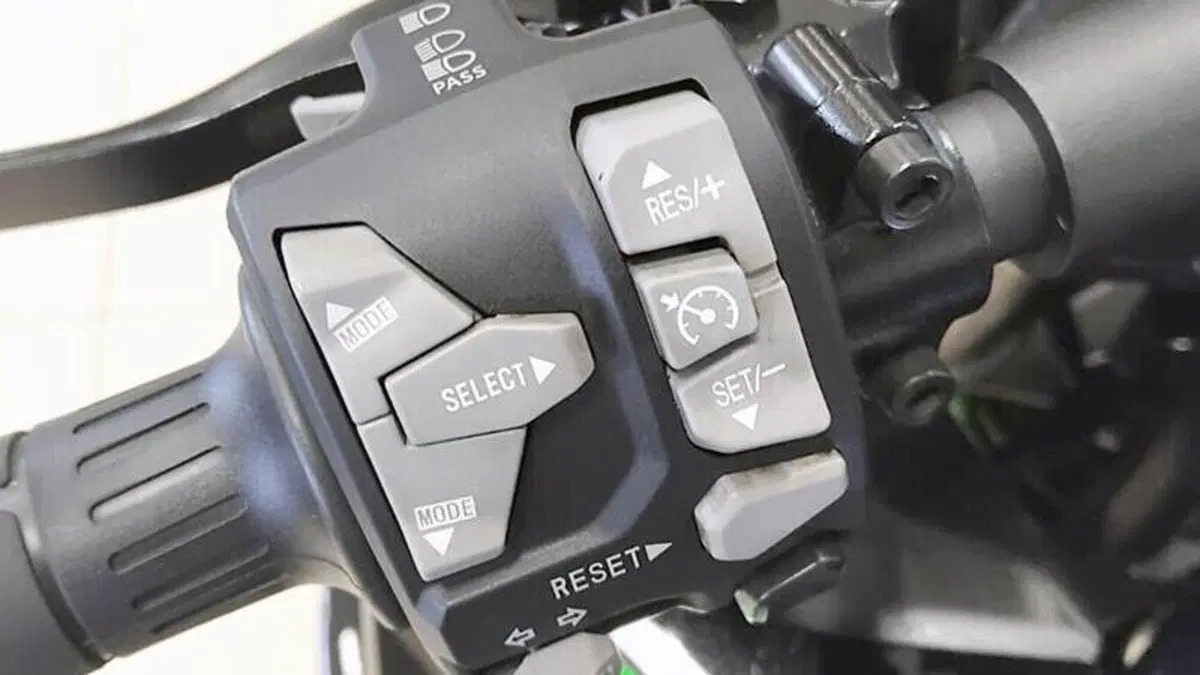 Kawasaki Ninja 1000 SX (2021 - 24)  (8)