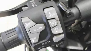 Kawasaki Ninja 1000 SX (2021 - 24)  (8)