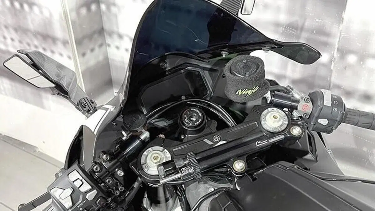 Kawasaki Ninja 1000 ZX-10R (2021 - 25)  (6)