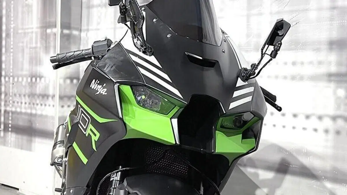 Kawasaki Ninja 1000 ZX-10R (2021 - 25)  (9)