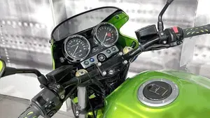 Kawasaki ZRX 1200 R (2000 - 06)  (6)
