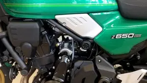 Kawasaki Z 650 (2021 - 24)  (7)