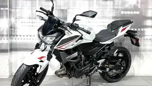 Kawasaki Z 400 (2023)  (7)