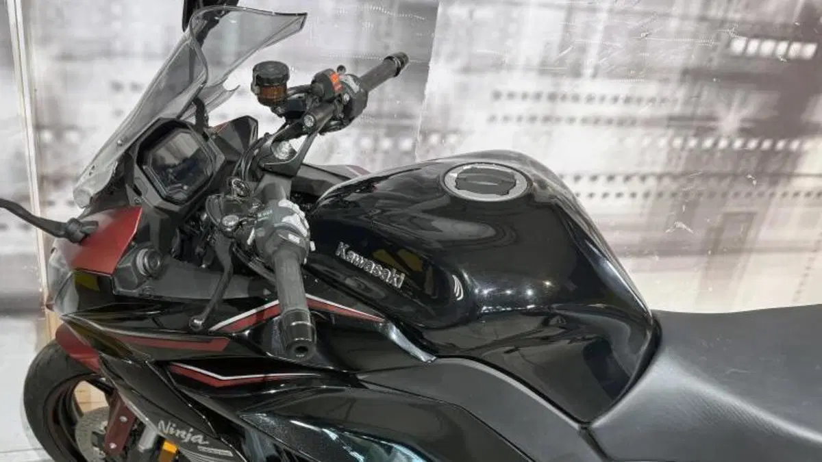 Kawasaki Ninja 1000 SX Tourer (2021 - 24)  (8)