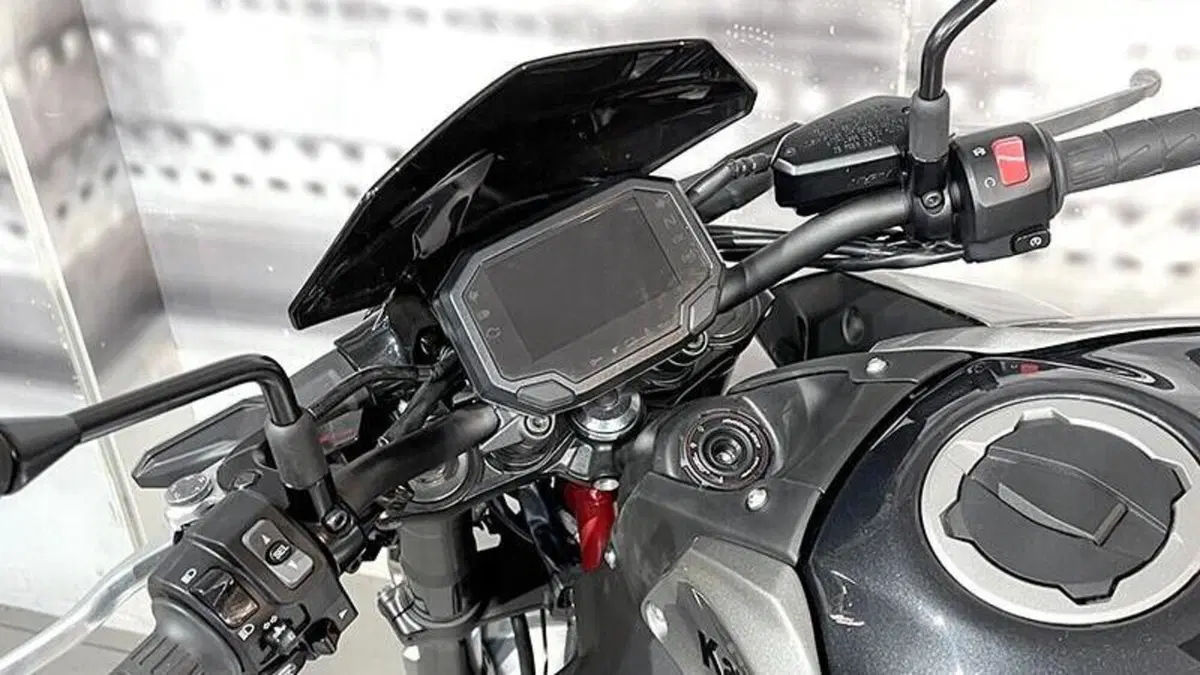 Kawasaki Z 900 A2 (2021 - 24)  (6)