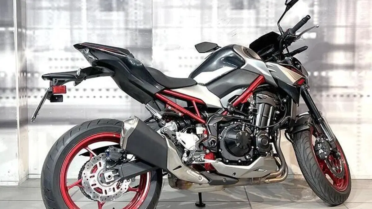 Kawasaki Z 900 A2 (2021 - 24)  (8)