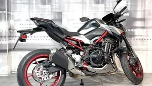 Kawasaki Z 900 A2 (2021 - 24)  (8)