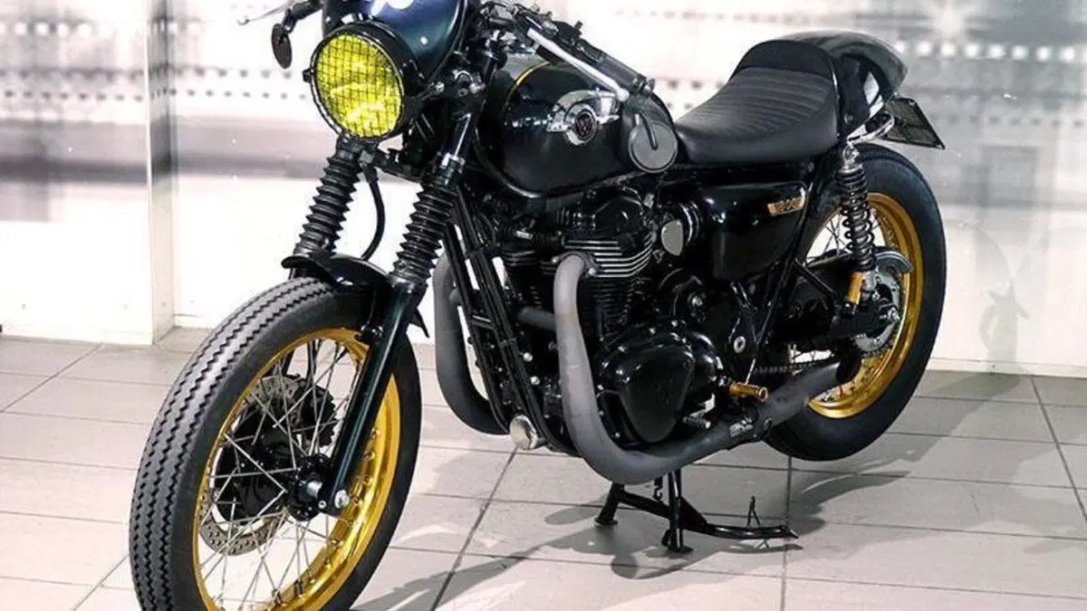 Kawasaki W 800 (2010 - 17)  (6)