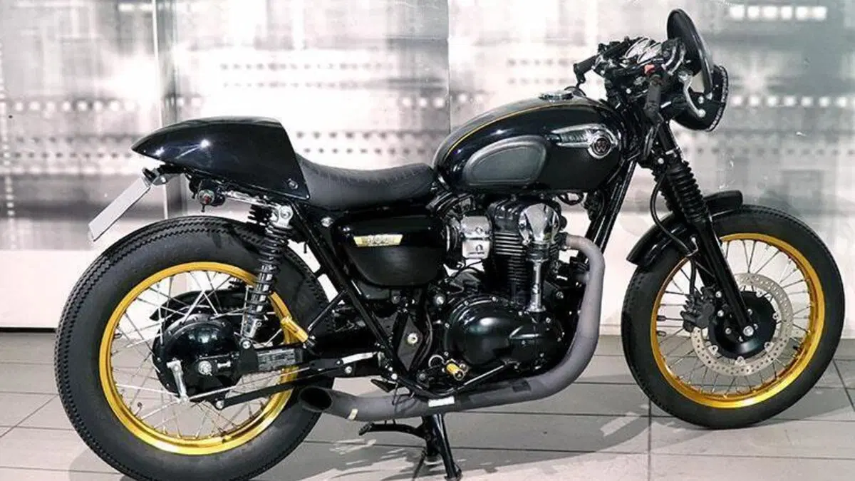 Kawasaki W 800 (2010 - 17)  (7)