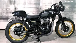 Kawasaki W 800 (2010 - 17)  (7)