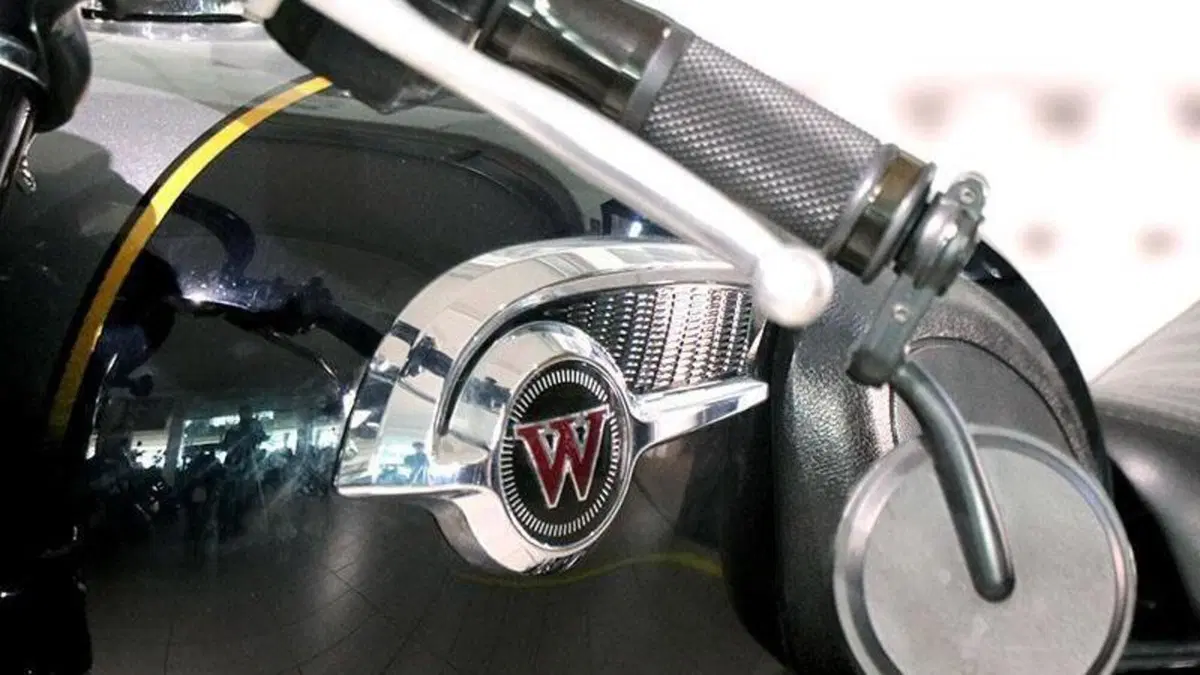 Kawasaki W 800 (2010 - 17)  (8)