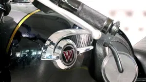 Kawasaki W 800 (2010 - 17)  (8)