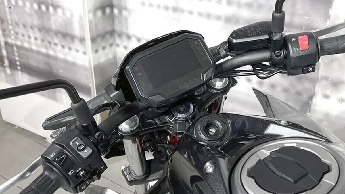 Kawasaki Z 650 (2021 - 24)  (6)