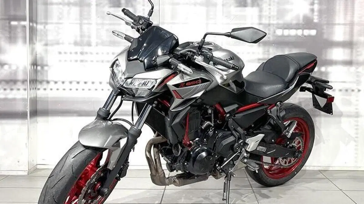 Kawasaki Z 650 (2021 - 24)  (7)