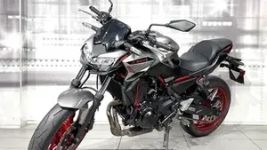 Kawasaki Z 650 (2021 - 24)  (7)