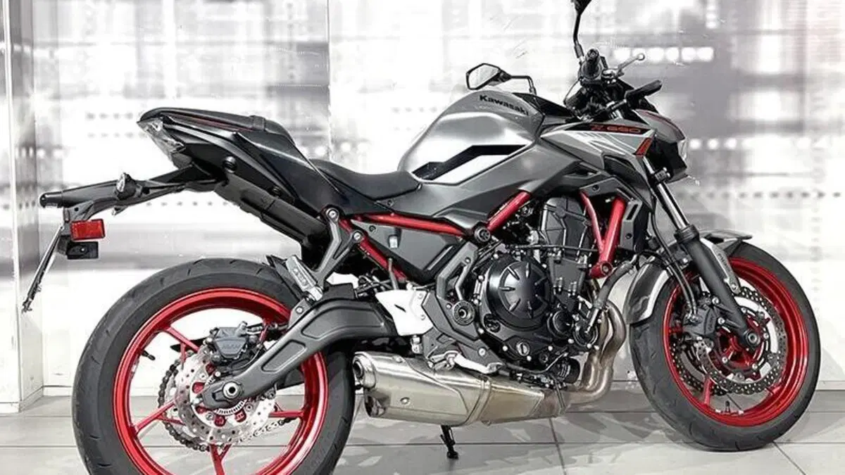 Kawasaki Z 650 (2021 - 24)  (8)