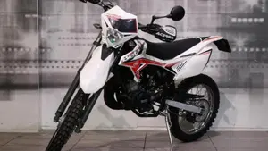 Betamotor RR 50 Enduro (2011 - 18)  (7)