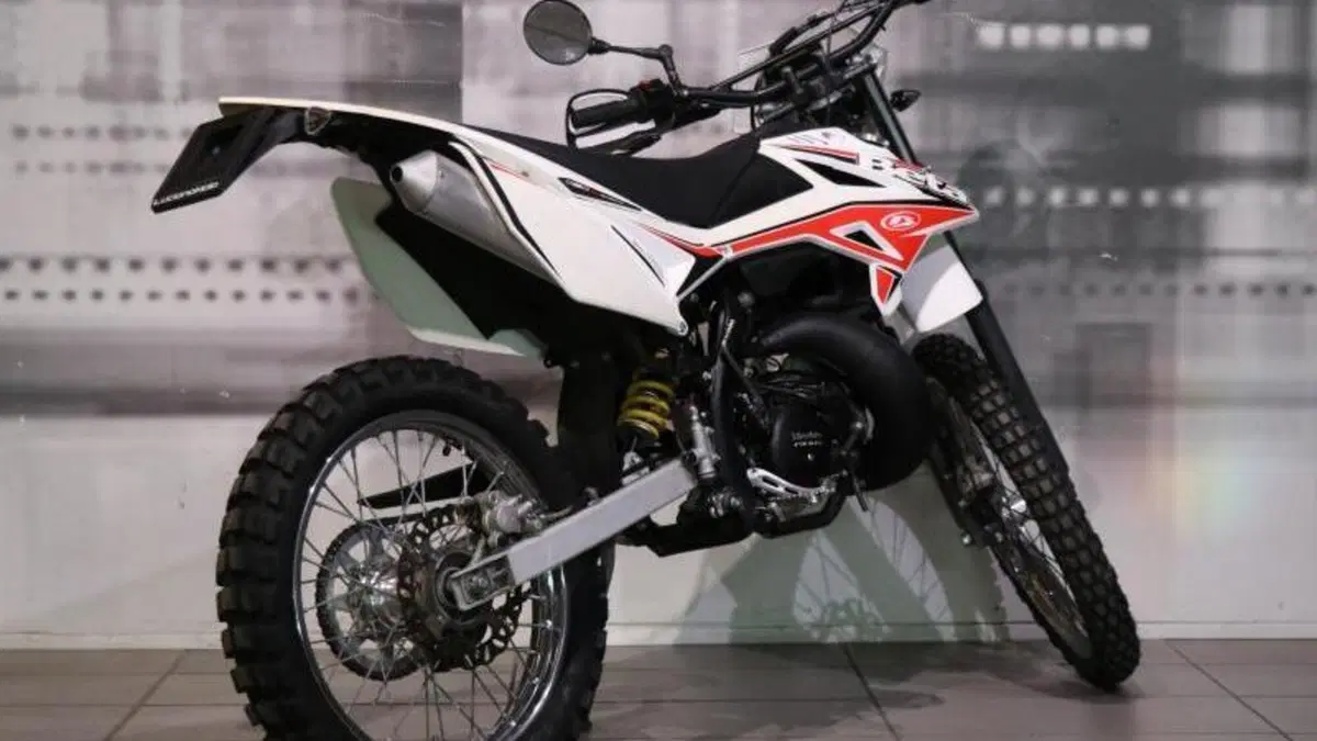 Betamotor RR 50 Enduro (2011 - 18)  (8)