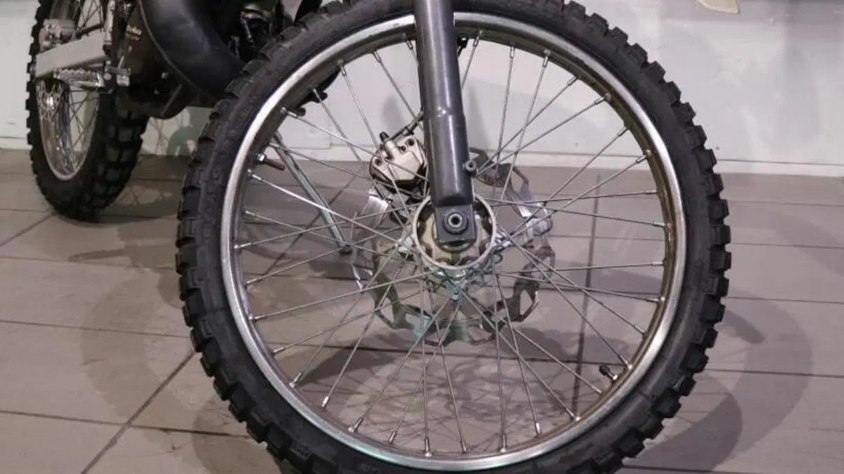 Betamotor RR 50 Enduro (2011 - 18)  (9)