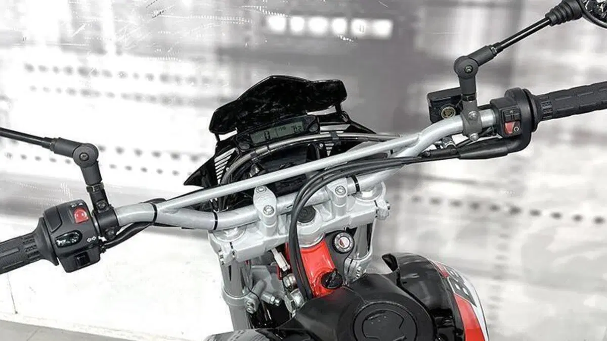 Betamotor Alp 4.0 (2018 - 20)  (6)