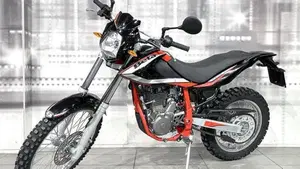 Betamotor Alp 4.0 (2018 - 20)  (7)