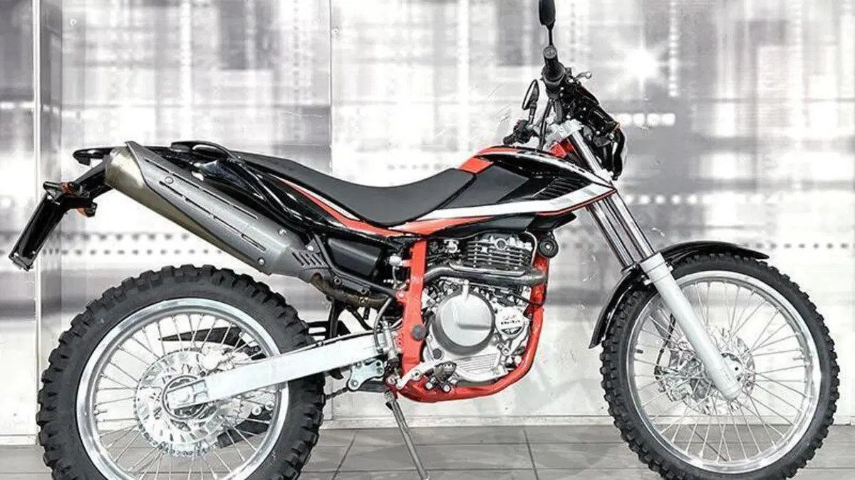 Betamotor Alp 4.0 (2018 - 20)  (8)