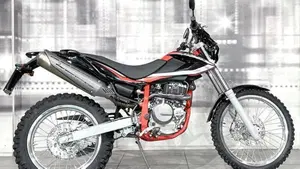 Betamotor Alp 4.0 (2018 - 20)  (8)