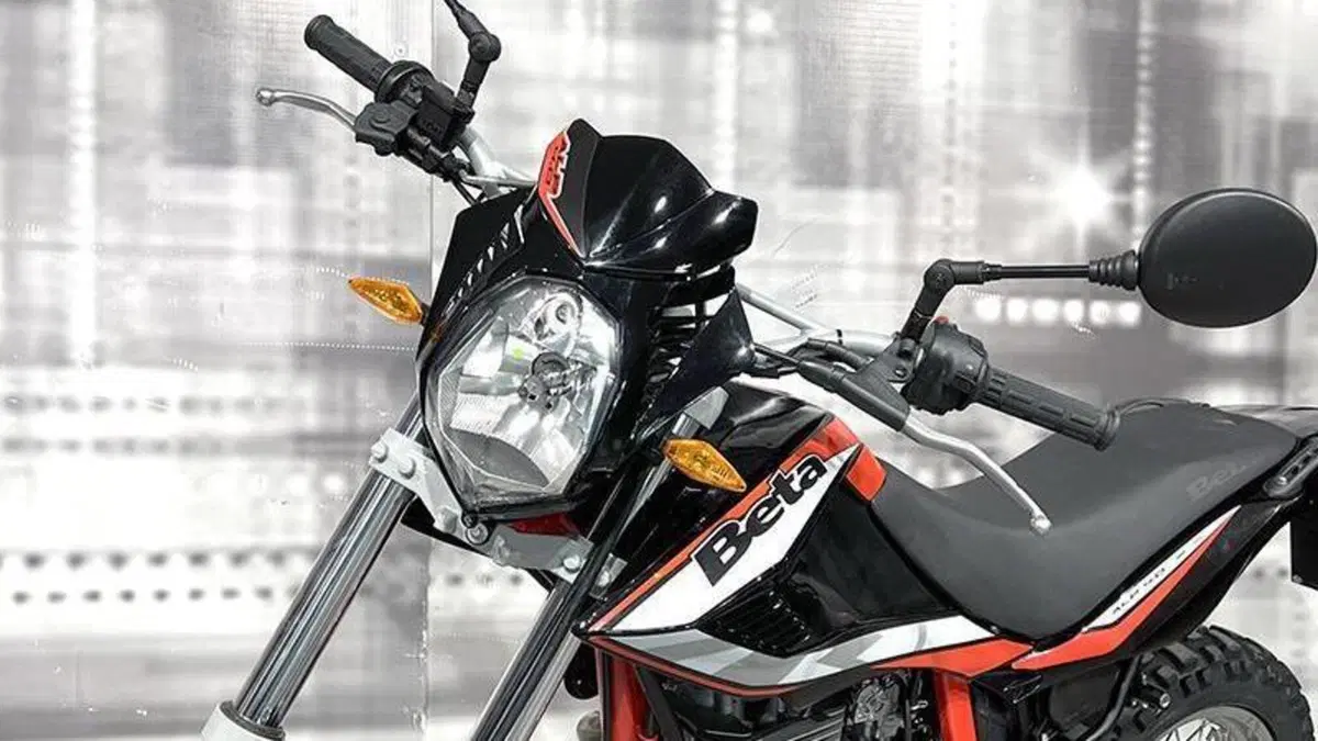 Betamotor Alp 4.0 (2018 - 20)  (9)